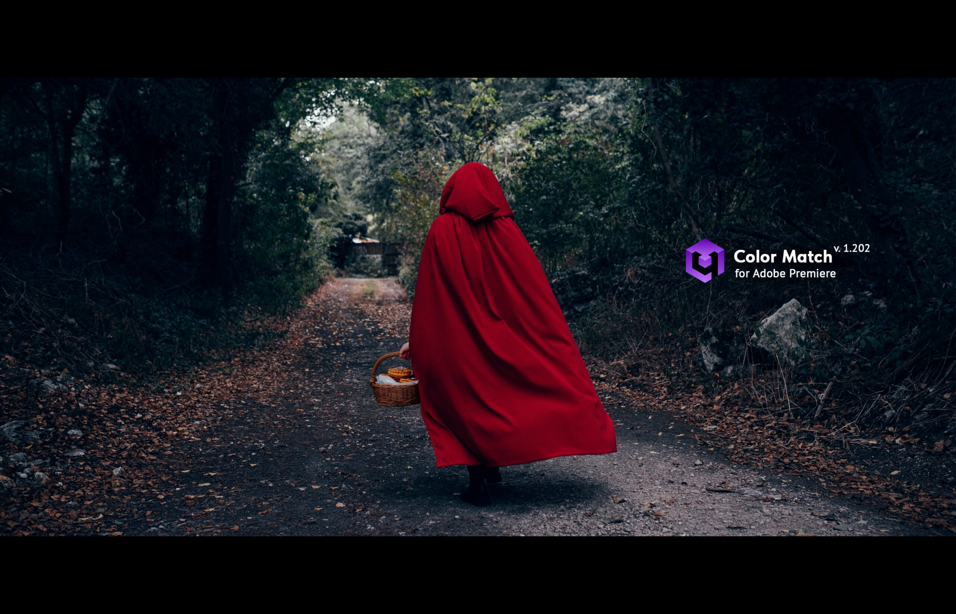 Mise à jour : Color Match pour Premiere passe en version 1.202