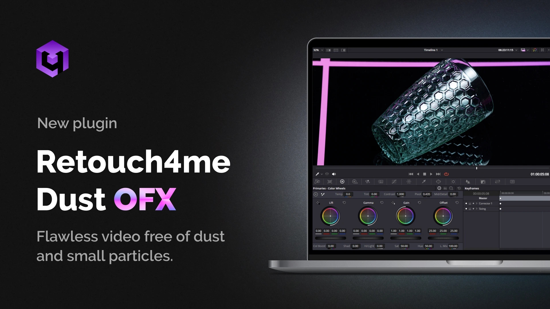 Dust Video: A New Retouch4me Tool for Automatic Dust Removal in Video