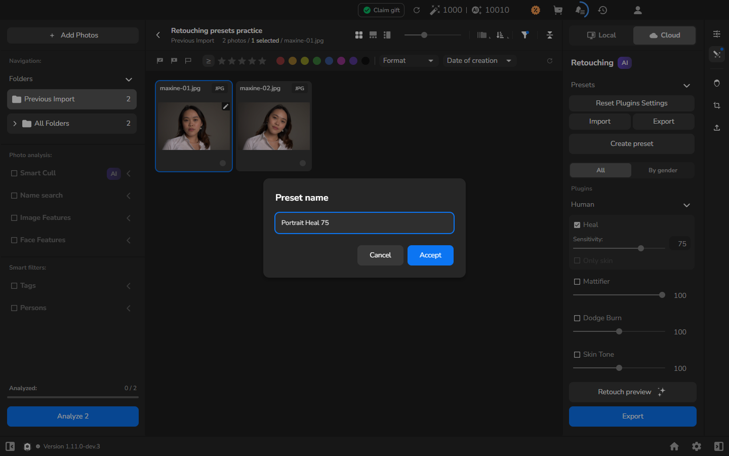 Preset name dialog containing Portrait Heal 75, with Accept enabled.