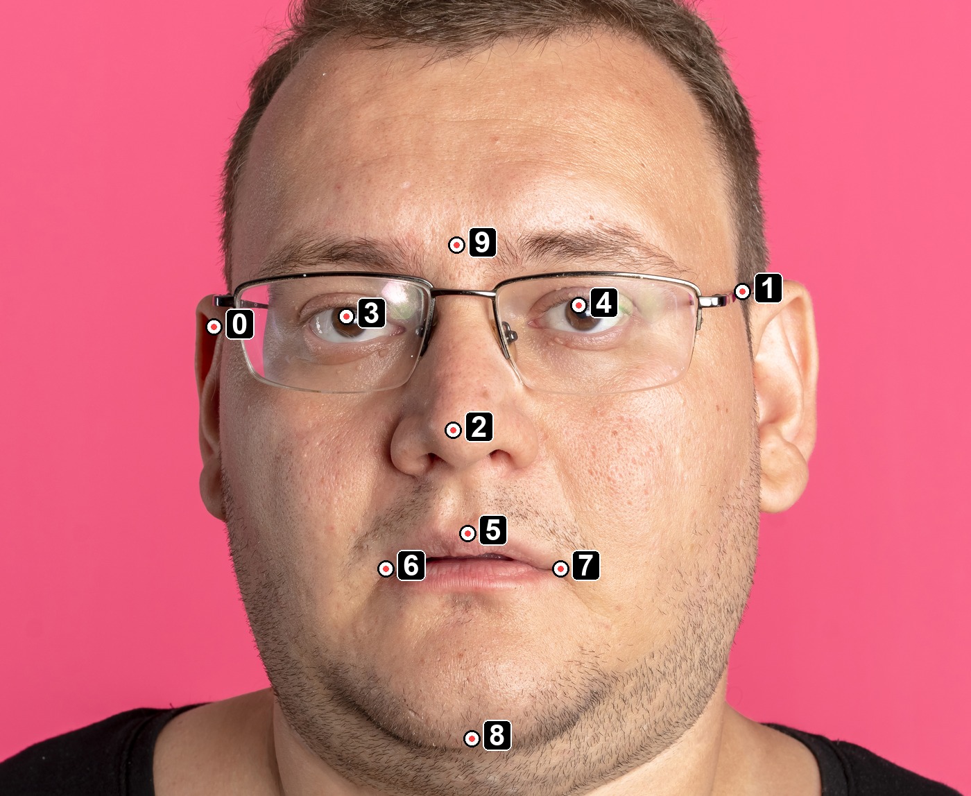Face Detection landmark indices drawn on a sample face