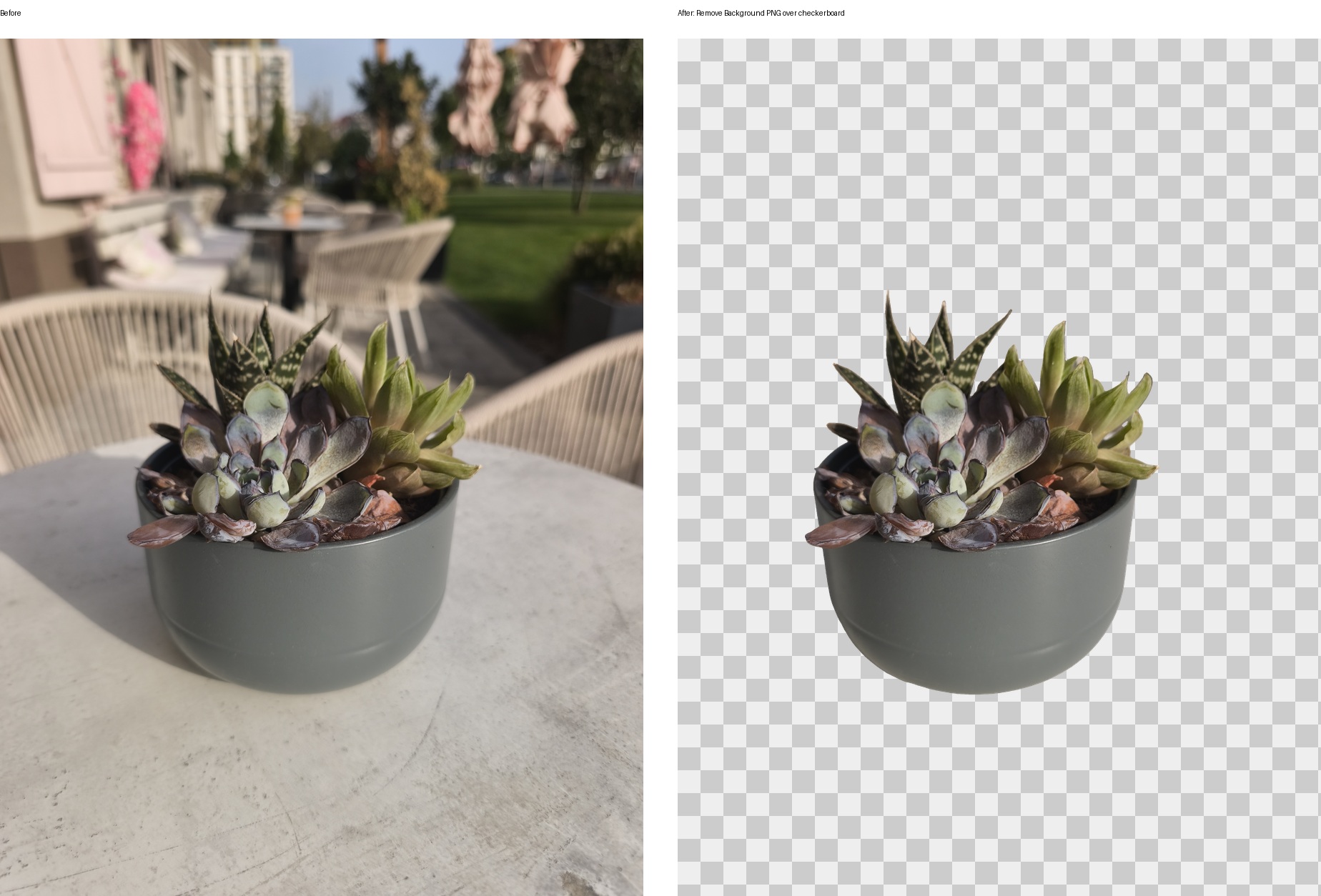 Real-world object photo before and after API background removal, shown on a transparent checkerboard