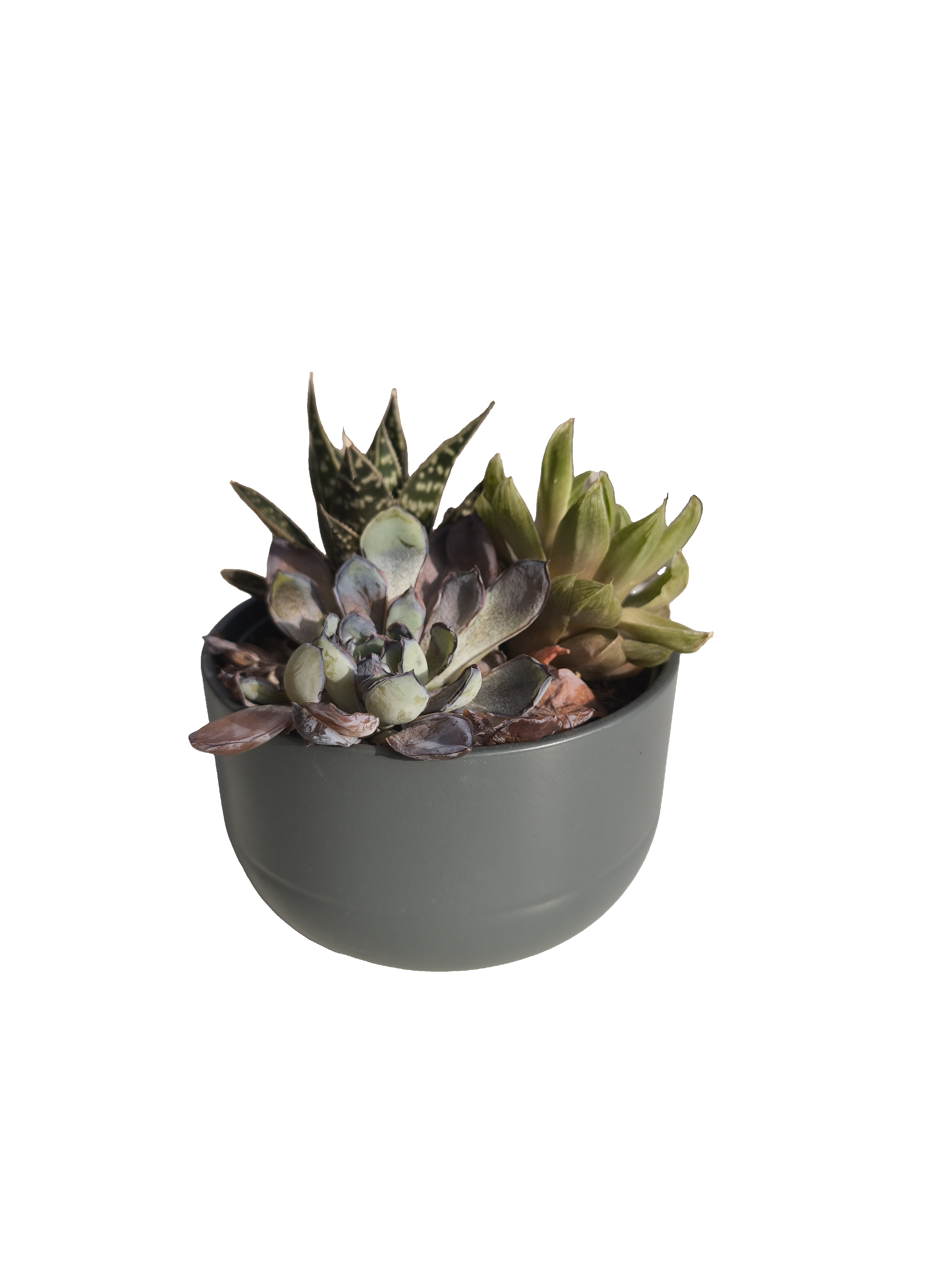 Object isolated from a complex scene as a transparent PNG cutout