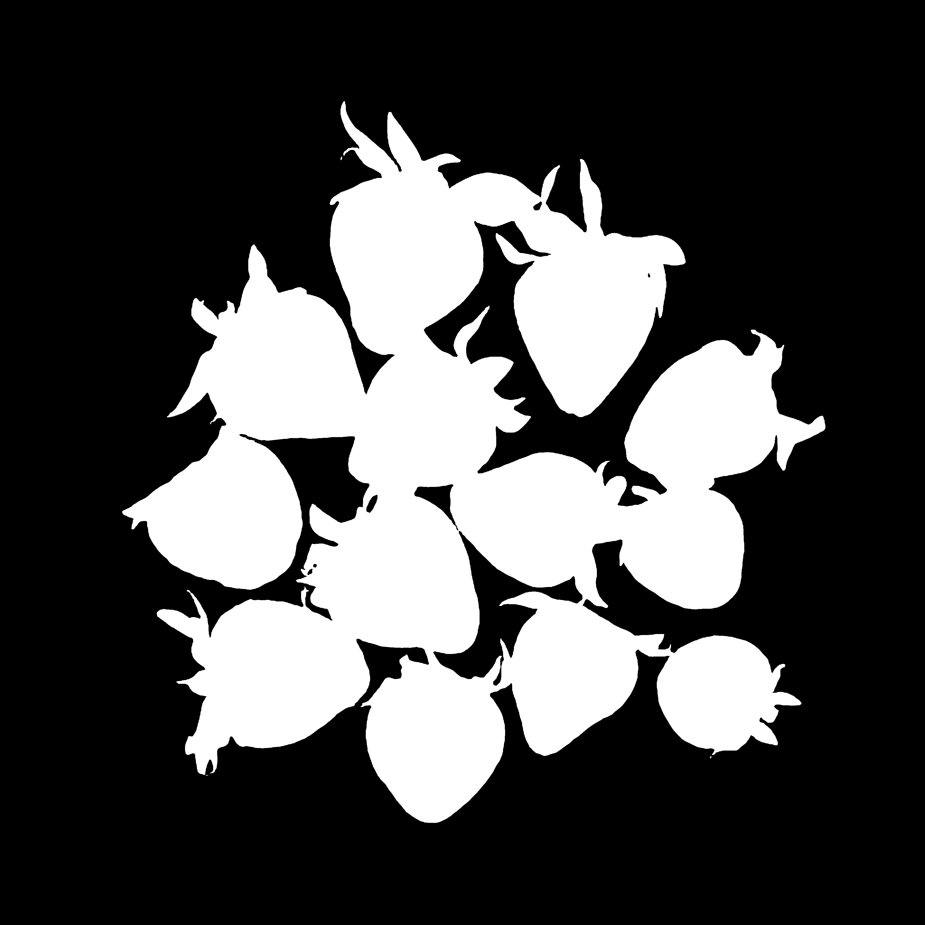 White foreground segmentation mask for strawberries on a black background
