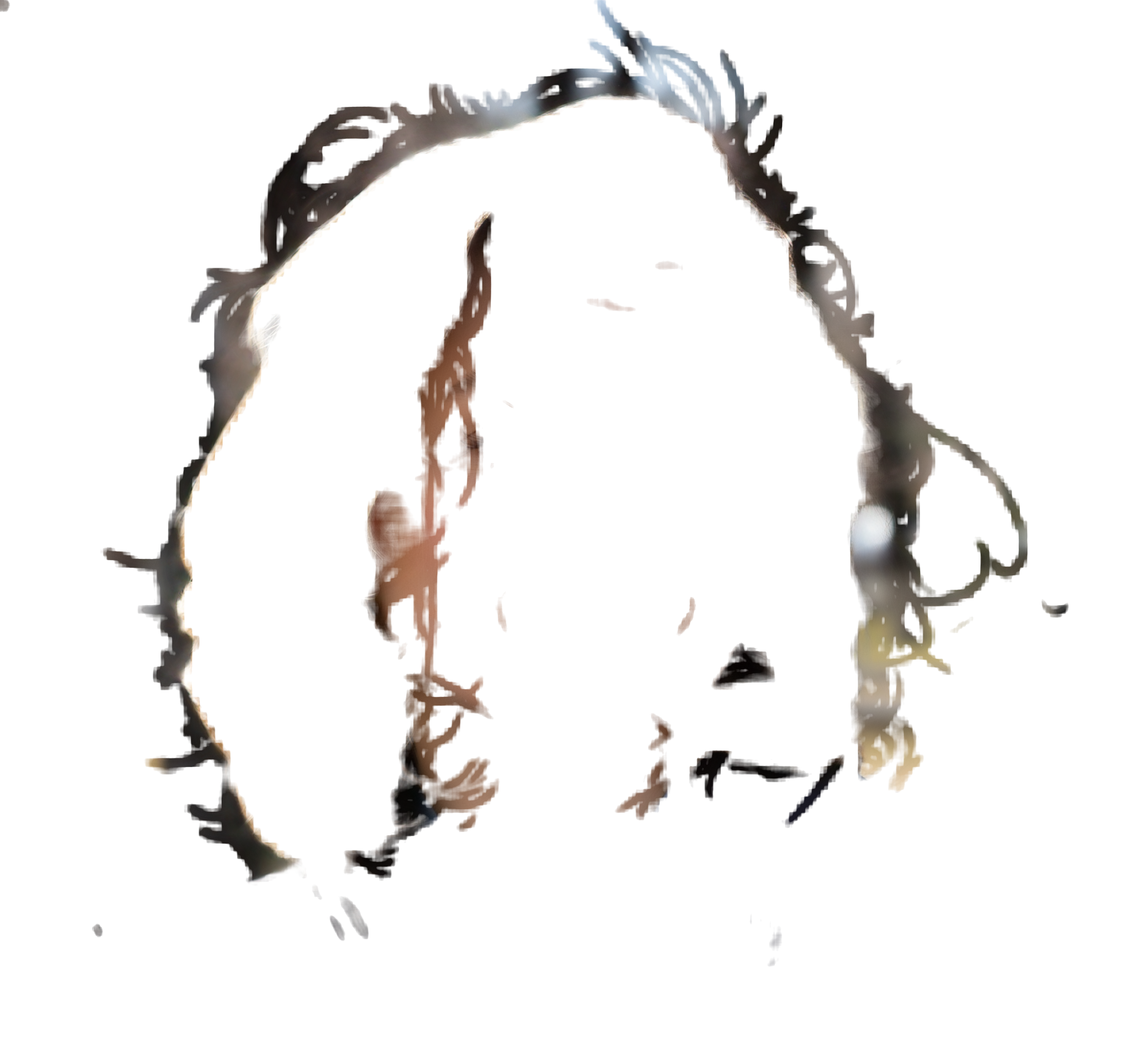 RGBA correction layer returned by the Stray Hairs API